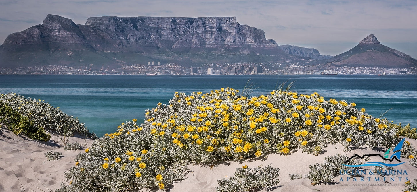 about-blouberg-beach